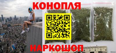 мдпв Кингисепп