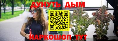 мдпв Кингисепп