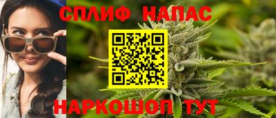 мдпв Кингисепп