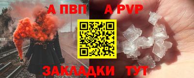 мдпв Кингисепп