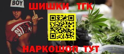 мдпв Кингисепп