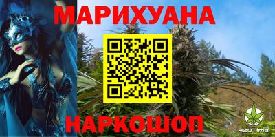 мдпв Кингисепп