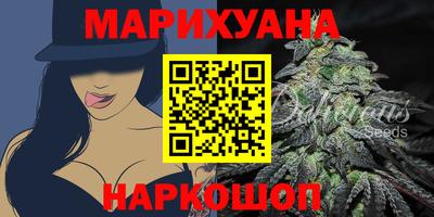 мдпв Кингисепп
