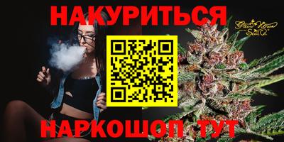 мдпв Кингисепп