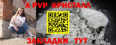 мдпв Кингисепп
