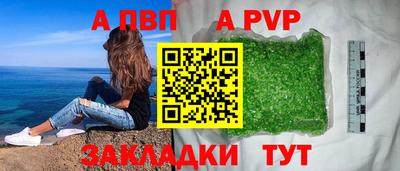 гашик Кимры