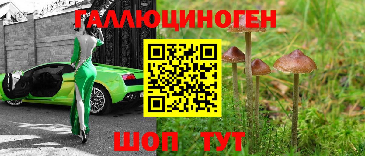 Волхов  Псилоцибиновые грибы Psilocybine cubensis  Псилоцибиновые грибы мухоморы  Вход с VPN 